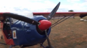 fly in 008 (deleted e29cd5c8692abedaa6b2950c2c362df2)